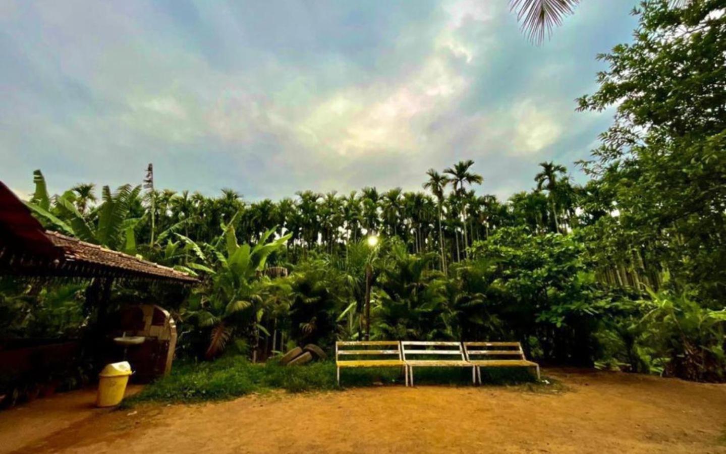 Pepper Paradise By Stayapart Dandeli Luaran gambar