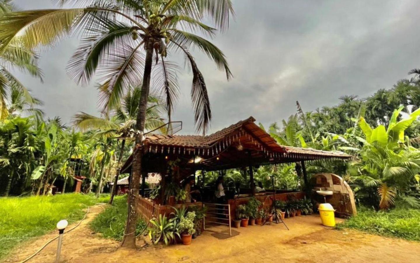Pepper Paradise By Stayapart Dandeli Luaran gambar